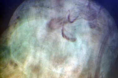 boya su ile kimyasal reaksiyon