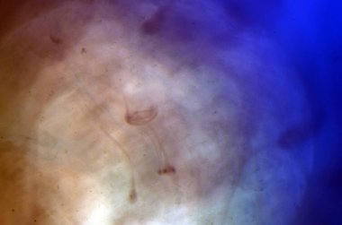 boya su ile kimyasal reaksiyon