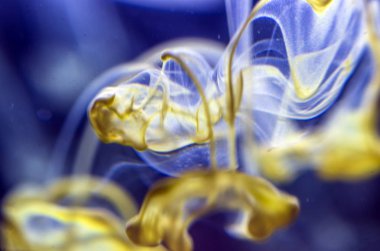 boya su ile kimyasal reaksiyon