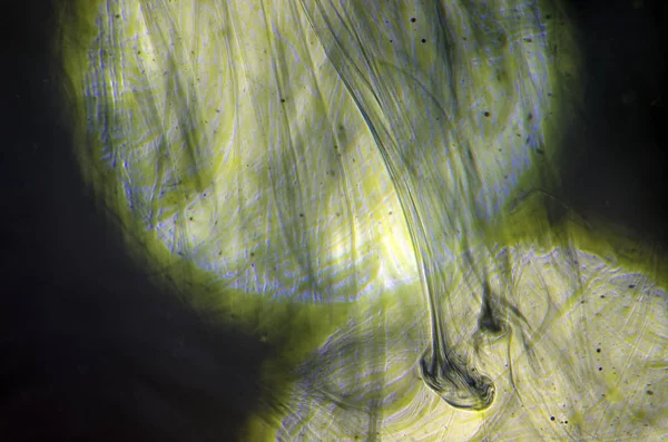 boya su ile kimyasal reaksiyon