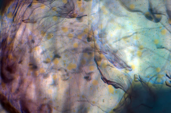 boya su ile kimyasal reaksiyon