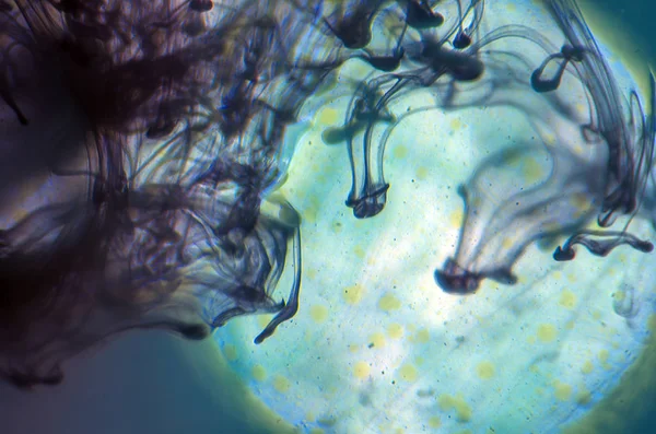 boya su ile kimyasal reaksiyon