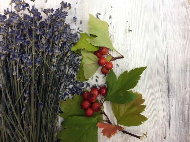 Doğadan bitki parçası