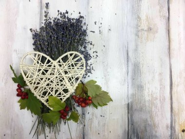 Doğadan bitki parçası