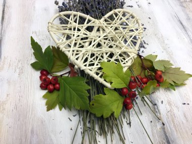 Doğadan bitki parçası