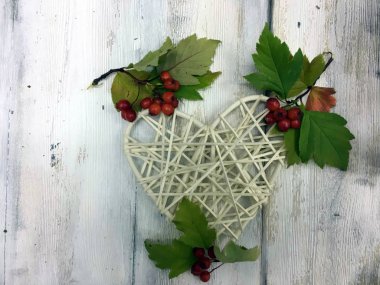 Doğadan bitki parçası