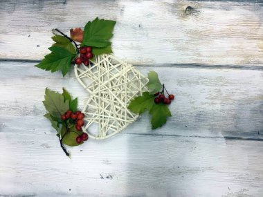 Doğadan bitki parçası