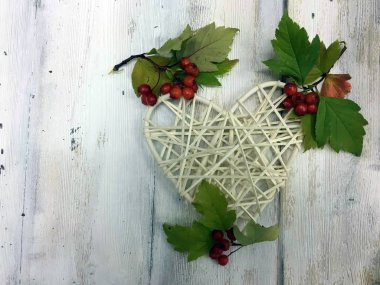 Doğadan bitki parçası