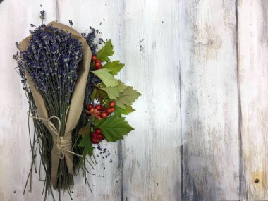 Doğadan bitki parçası