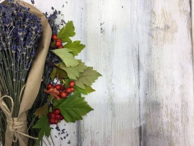 Doğadan bitki parçası