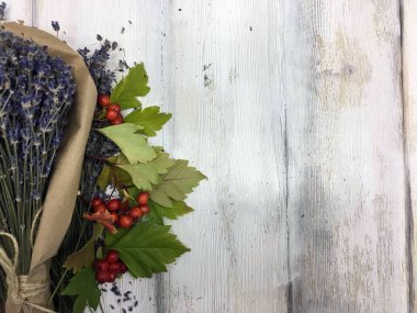 Doğadan bitki parçası