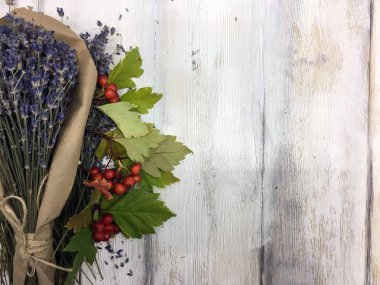 Doğadan bitki parçası