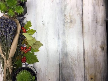 Doğadan bitki parçası