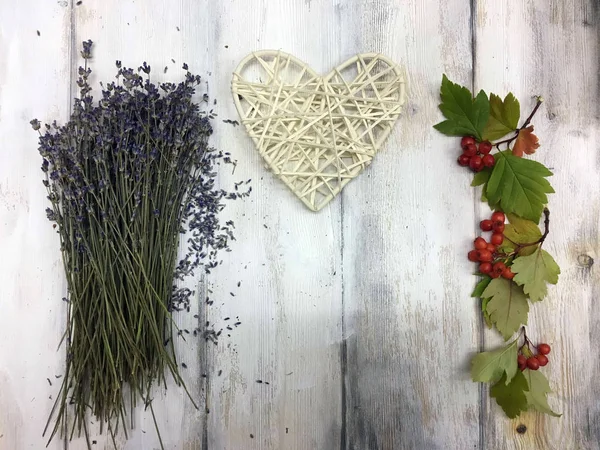 Doğadan bitki parçası