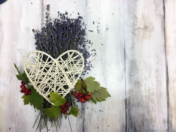 Doğadan bitki parçası