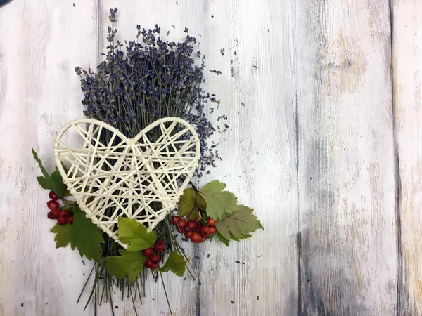 Doğadan bitki parçası