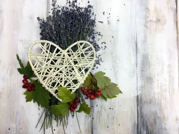 Doğadan bitki parçası