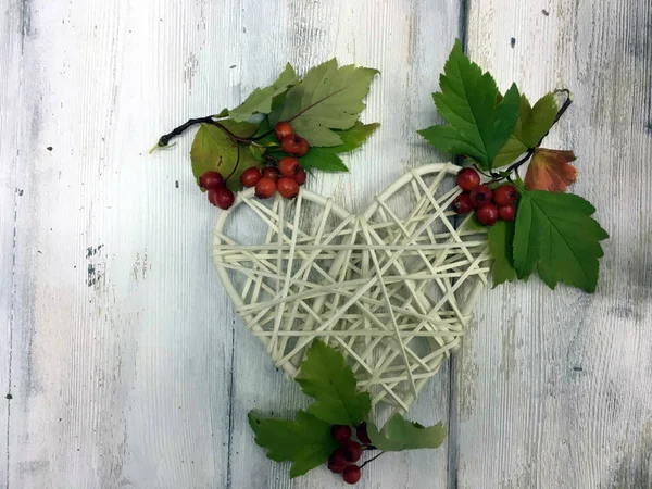 Doğadan bitki parçası