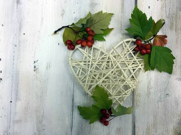 Doğadan bitki parçası