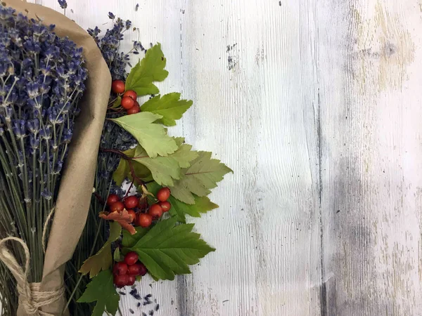 Doğadan bitki parçası