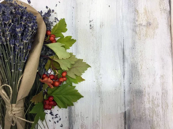 Doğadan bitki parçası