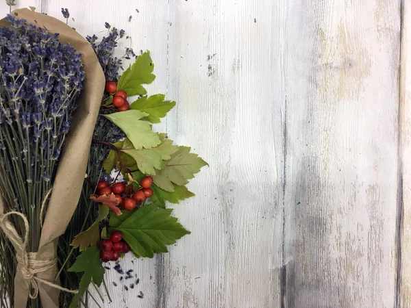 Doğadan bitki parçası