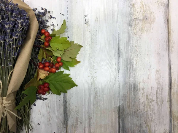 Doğadan bitki parçası