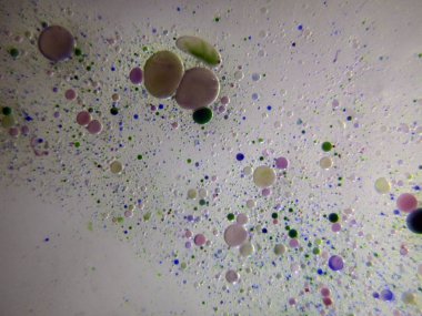 boya ile kimyasal deney