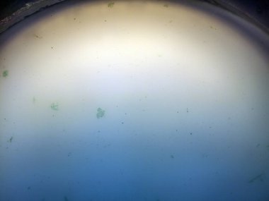 boya ile kimyasal deney