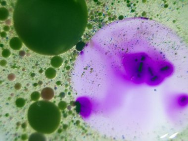 boya ile kimyasal deney