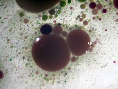 boya ile kimyasal deney