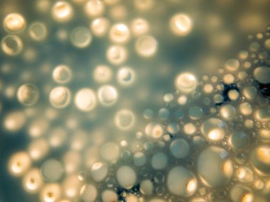 boya ile kimyasal deney