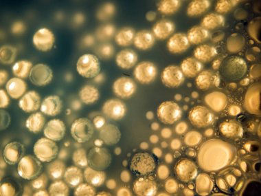 boya ile kimyasal deney