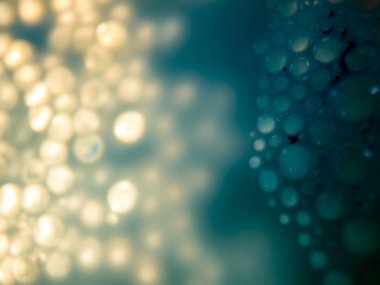 boya ile kimyasal deney