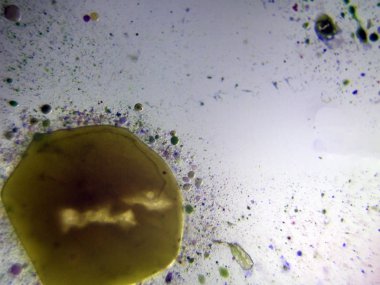 boya ile kimyasal deney