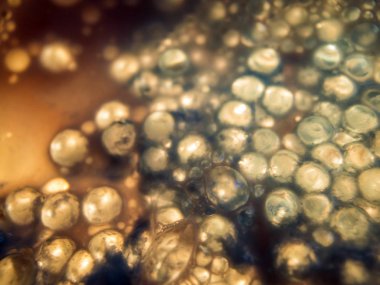 boya ile kimyasal deney