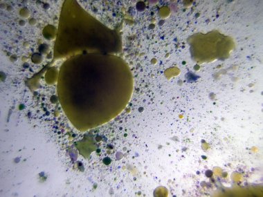 boya ile kimyasal deney