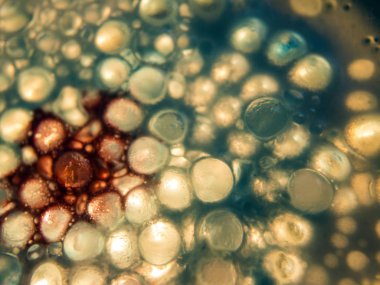 boya ile kimyasal deney