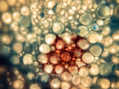 boya ile kimyasal deney