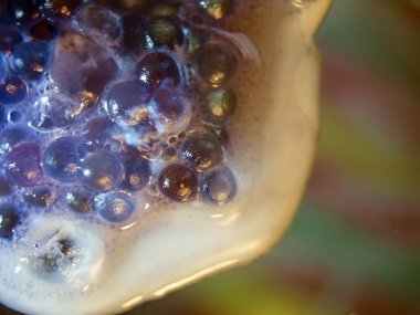 boya ile kimyasal deney