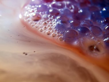 boya ile kimyasal deney