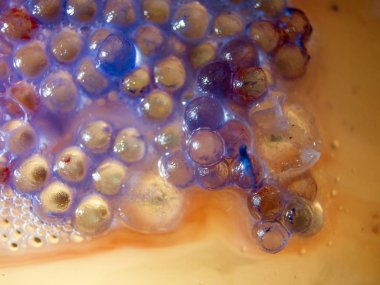 boya ile kimyasal deney