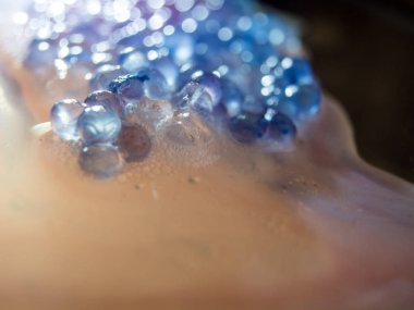 boya ile kimyasal deney