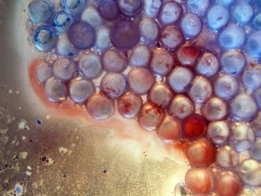 boya ile kimyasal deney