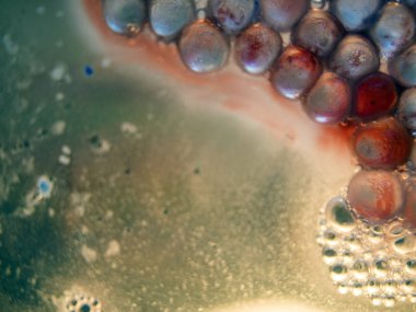 boya ile kimyasal deney