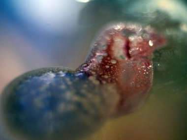 boya ile kimyasal deney