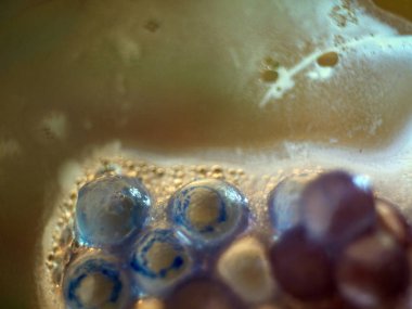 boya ile kimyasal deney