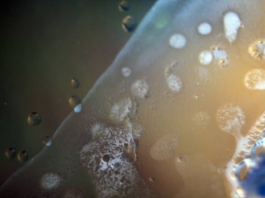 boya ile kimyasal deney