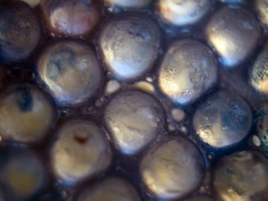 boya ile kimyasal deney