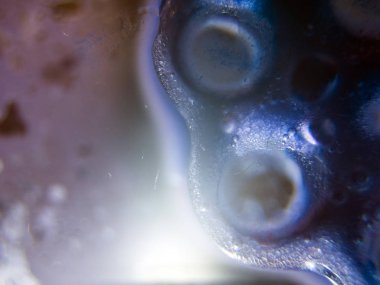 boya ile kimyasal deney